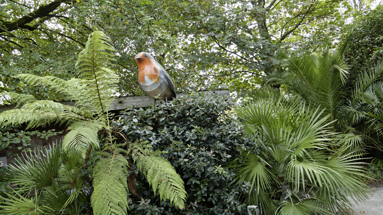 20261006-141204•Lost Gardens of Heligan•Mevagissey•England•UK